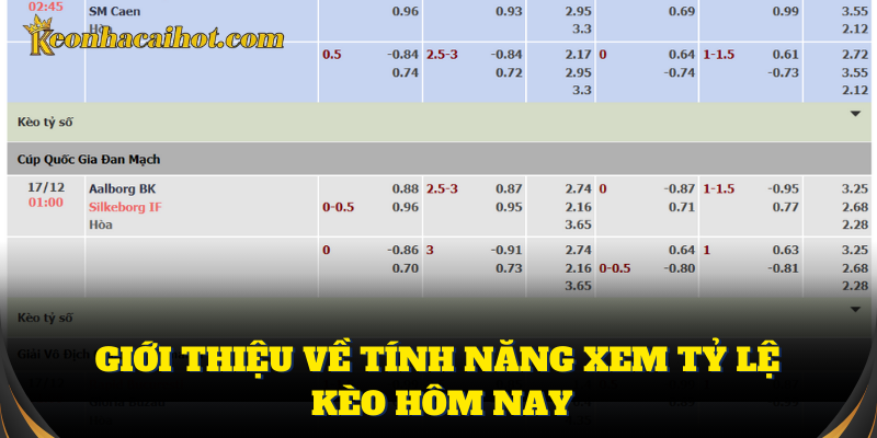 Xem tỷ lệ kèo hôm nay để chọn cược chuẩn