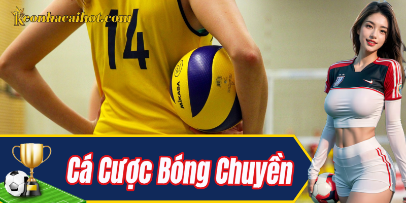 Giới thiệu tổng quan các thông tin về cá cược bóng chuyền