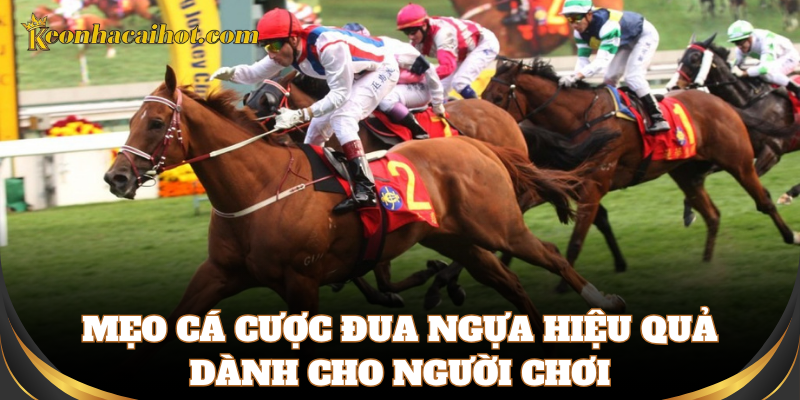 Bí kíp đặt cược đua ngựa đơn giản, dễ thắng nhất