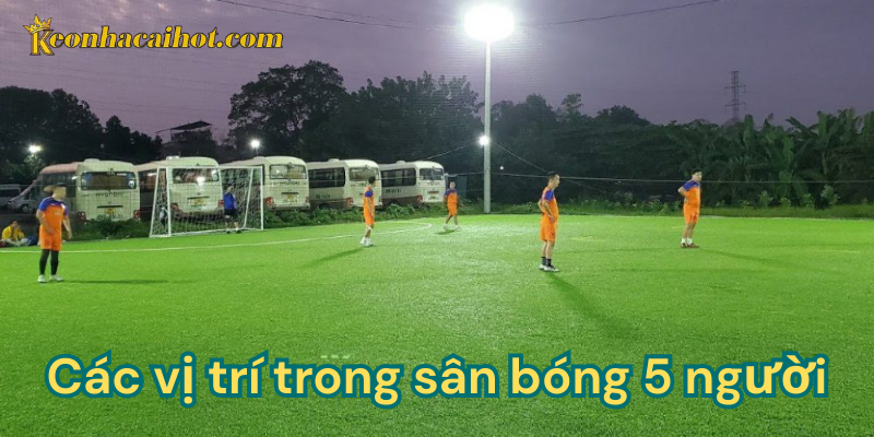 Các vị trí trong sân bóng 5 người có gì?