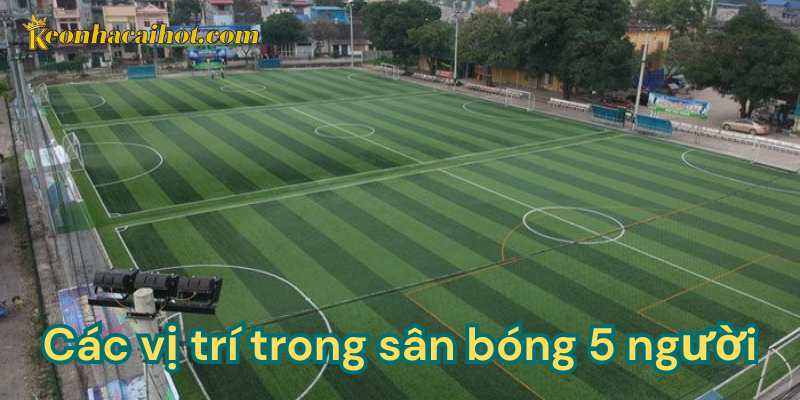 Giải thích về các vị trí trong sân bóng 5 người