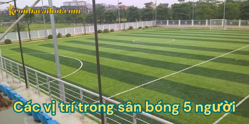 Sự liên kết các vị trí trong sân bóng 5 người